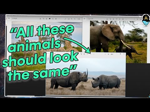 When You Don't Understand Evolution AT ALL