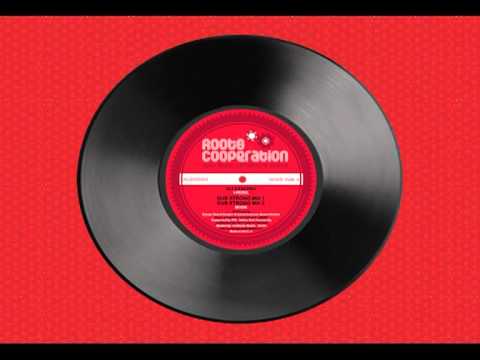 Roots Cooperation 2013 Brand New 12" - MGDK meets I-Rebel & Sista Aude