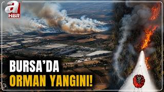 Bursa'da Orman Yangını! Havadan Karadan Müdahale Ediliyor | A Haber
