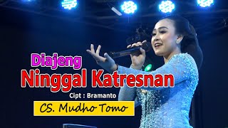 Download lagu Diajeng - Ninggal Katresnan ( Live ) mp3