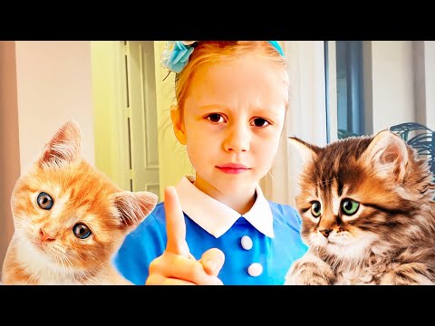 Nastya and her funny pets kittens