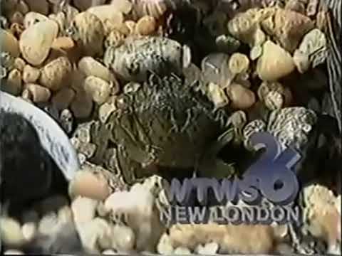 WTWS Station ID 1987