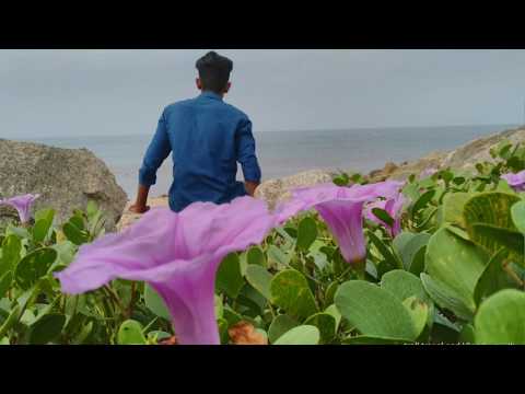 7TH TIME IN KATTILMEKKATHIL KOLLAM CHAVARA||TROLL TRAVEL AND VLOG BY SUJITH