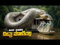 Anaconda 1 Movie Explained In Kannada Jungle Adventure Thriller Plot Review
