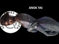ANOK YAI A Rare Silky Smooth Chocolate Skin Beauty Redefining Fashion