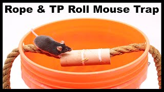 The Rope & TP Roll Bucket Mouse Trap - As Seen On Reddit. Mousetrap Monday