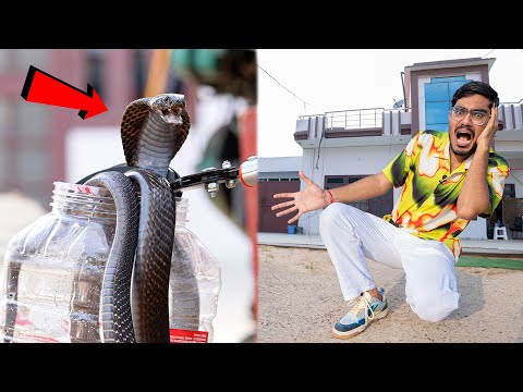 Humare Studio Me Ghus Gaya Cobra Snake😱