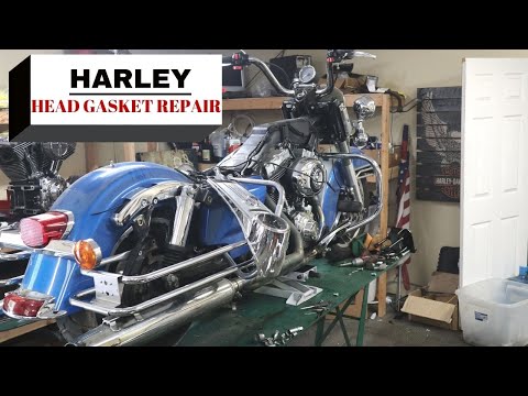 Harley Head Gasket Repair | Budget Rebuilds