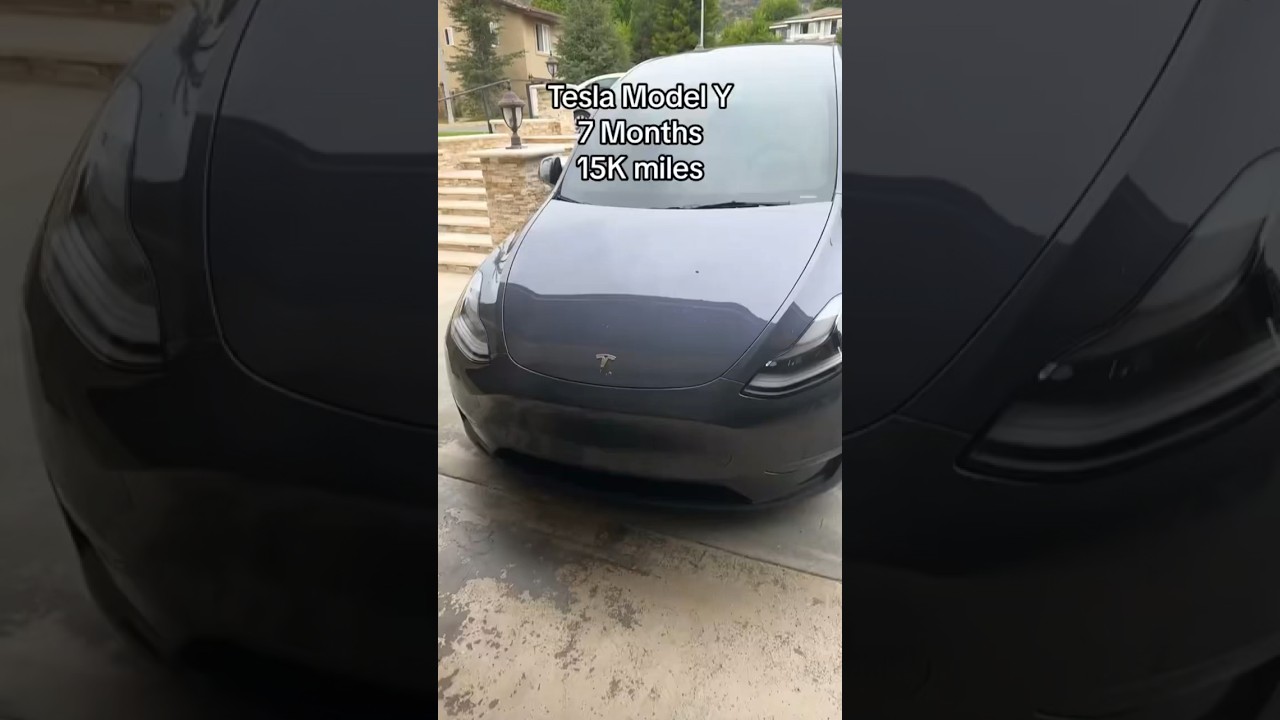 2023 Tesla Model Y Driven for 7 Months #teslamodely