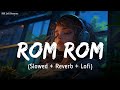 Rom Rom (Slowed + Reverb) | Mc Square | Crakk | Vidyut Jamwal | Lofi Mix | SSR Lofi
