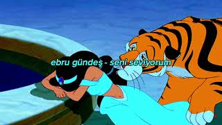 ebru gündeş - seni seviyorum // slowed+reverb