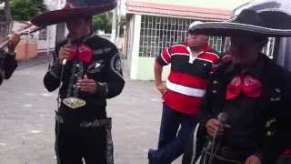 MARIACHIS DE GUAYAQUIL "RANCHO GRANDE"