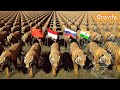 Tiger Population By Country 2023