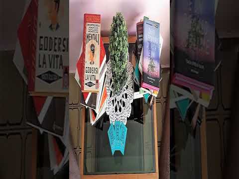 Hotel Goya - Rimini - Italy