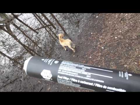smith & wesson m&p 22 compact suppressed wix 4003