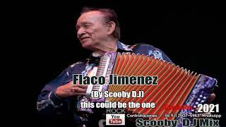 Flaco Jimenez - this could be the one (By Scooby D.J)