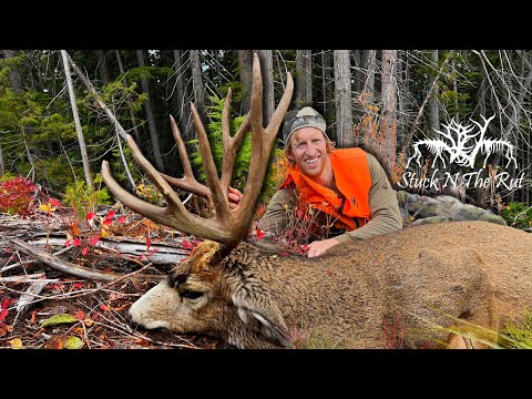 Opening Day Surprise | Too BIG to Pass Up!!! Montana Mule Deer Hunt - Stuck N The Rut 218