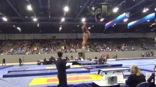 Paige Howard - Double-mini - Pass 2 - 2017 Winter Classic Finals