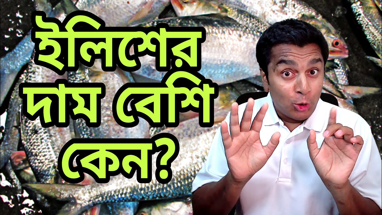 বাংলাদেশের সাধারণ মানুষ কেন ইলিশ খেতে পারে না? Why is Hilsa Fish So Costly? | Fahad Rahman