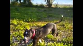 My Bloody Valentine - Sunny Sundae Smile