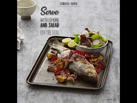 سمكة حرّة من ماجي بالفيديو