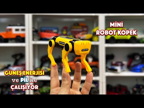 Çinliler ÜNLÜ Robot Köpeği 15 Dolara KLONLADI!