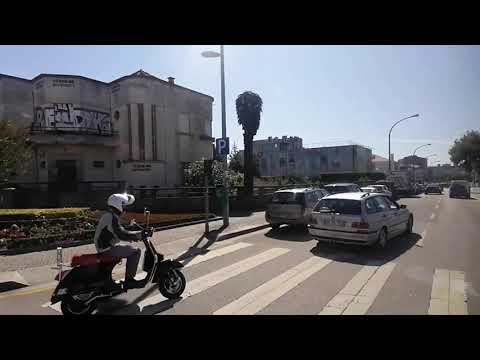 2141 STCP - Mercedes-Benz O530 Salvador Caetano CityGold MB 2KD - Linha / Route 202 (Parte / Part 1)