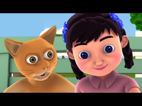 Billi Mausi Kaho Kahan Se Aayi Ho | Hindi Song | बिल्ली मौसी | Kids Tv India | Hindi Nursery Rhymes