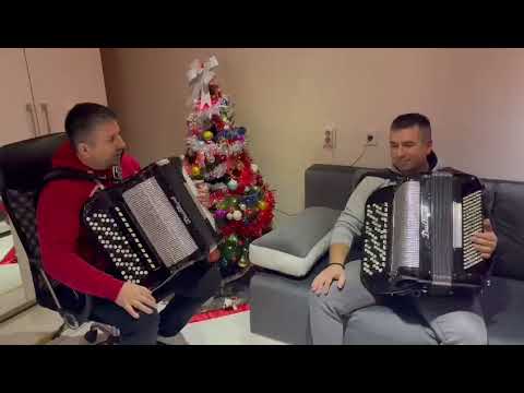 Skola harmonike Bojan Nesic +381631657772 ucenik Nikola Bandjur iz Stuttgarta