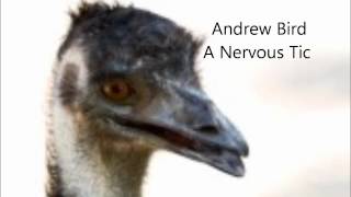 Andrew Bird  A Nervous Tic