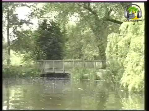 Wilhelmsburger Wasserwege