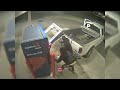 Dumb Criminals Gone Wild