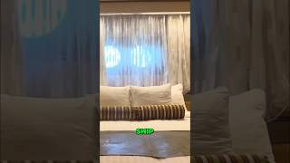 Ocean View Cabin Tour 🚢 Holland America Zaandam | Cruise Room Tour