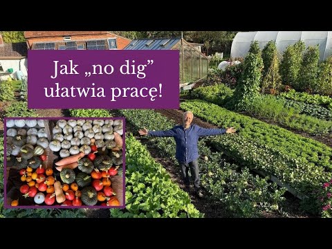 Ziemia bez przekopywania – idealna na kolejne nasadzenia przez całe lato! Przykłady do równonocy