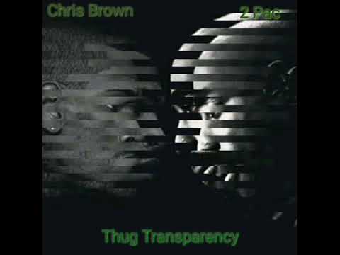 Chris Brown  feat 2 PAC - Thug Transparency