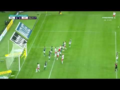 Lance Polêmico na partida entre Palmeiras 1x1 Internacional - A bola entrou ou não entrou?