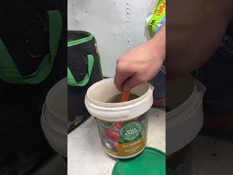 Top dressing with Gaia Green nutrients and worm castings!