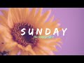 Lukrembo Sunflower Sunday No Copyright Music Lofi