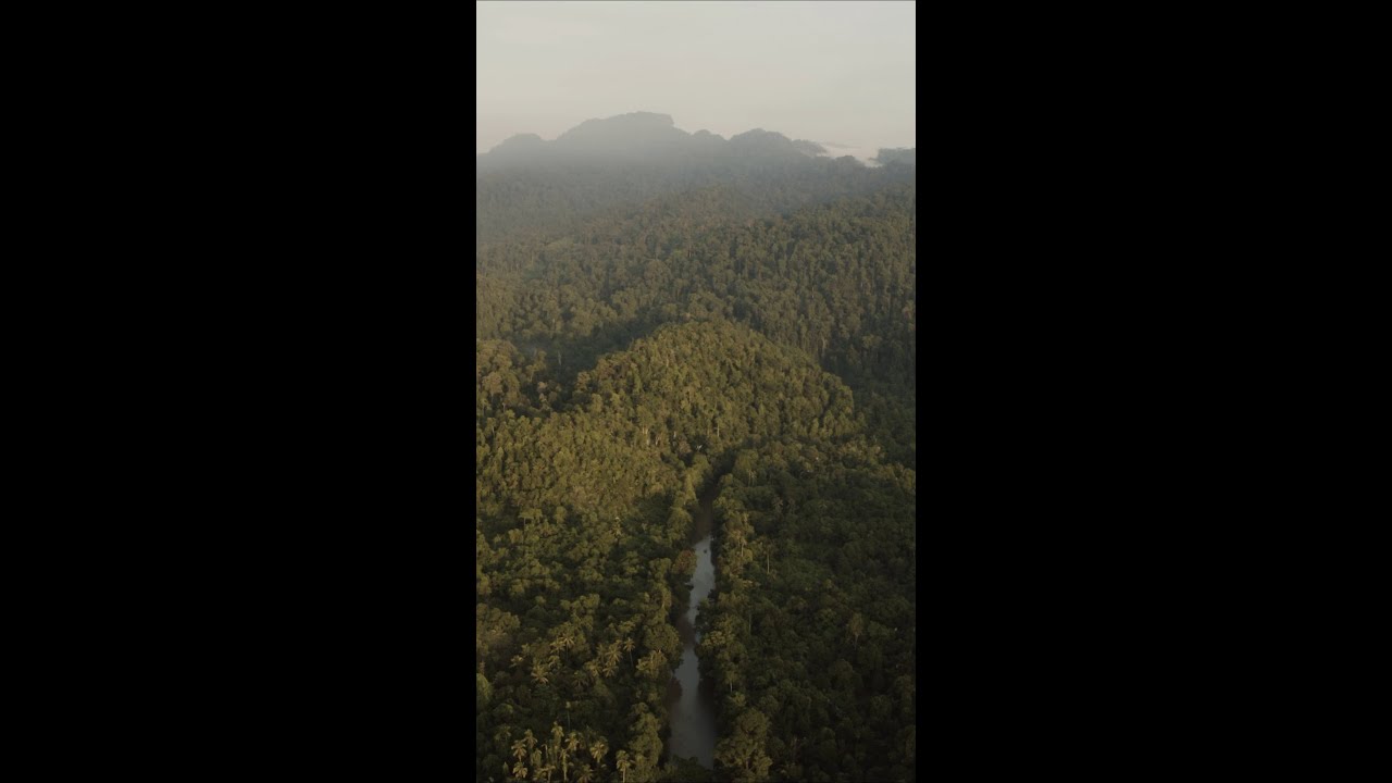 Nickel Unearthed: The Human and Climate Costs of Indonesia's Nickel Industry