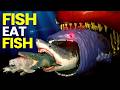 Fish Eat Fish 3D Comparison SEA EATER Vs DARK BLOOP