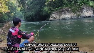 Download lagu THIS RIVER IS RARELY VISITED BY ANGLERS ❗❗ FISHING FOR BAUNG FISH IN THE INTERNAL FORESTS OF KALI... mp3