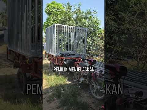 Video Orang di Dalam Kandang di Kamboja #shorts