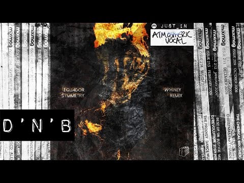 DNB: Equador - Symmetry (Whiney Remix) [Pegdoll Records]