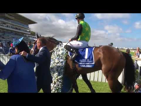 SEAN TARRY LEGAL EAGLE