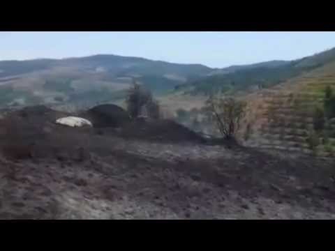 TEMPERATURAT E LARTA VAZHDOJNE TE FAVORIZOJNE VATRAT E ZJARRIT QE DJEGIN PYJE E DRURE FRUTORE LAJM