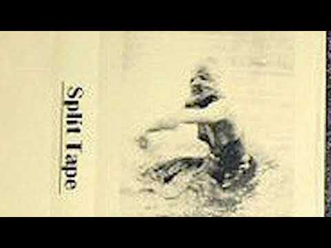 Dinozauras / Pichismo / Mincer Serenades / Analinis Oratorius ‎– Split Tape (Cassette RIP)