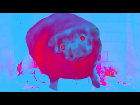 Dj MarioMaria - Nicer WHUman (feat. h4550) (Official Music Video)