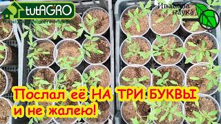 Послал рассаду НА ТРИ БУКВЫ... Она сходила и вернулась... КРАСАВИЦЕЙ! Результа?