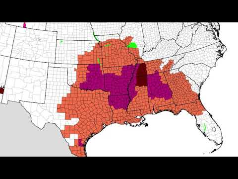 August 12, 2019 Weather Xtreme Video - Afternoon Edition