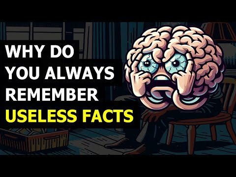 Why You Remember Useless Facts, But Easily Forget Important Ones